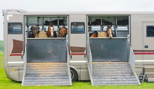 Dude Ranch on Wheels